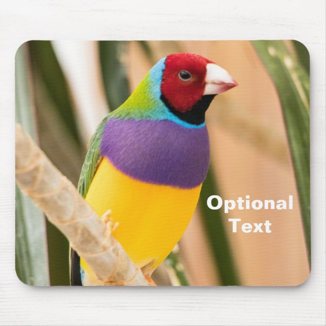Tapis De Souris Lady Gouldian Finch (Devant)