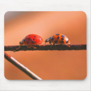 Tapis De Souris Ladybug Buddies Nature
