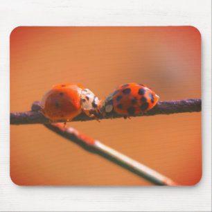 Tapis De Souris Ladybug Friends Nature