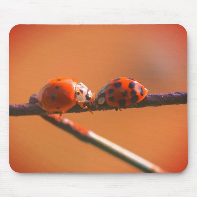 Tapis De Souris Ladybug Friends Nature (Devant)