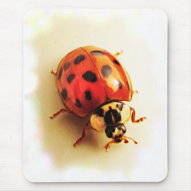 Tapis De Souris Ladybug Mousepad (Devant)