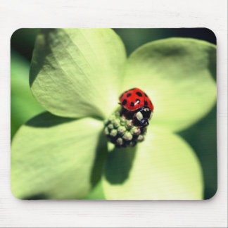 Tapis De Souris Ladybug Sur La Fleur De Dogwood