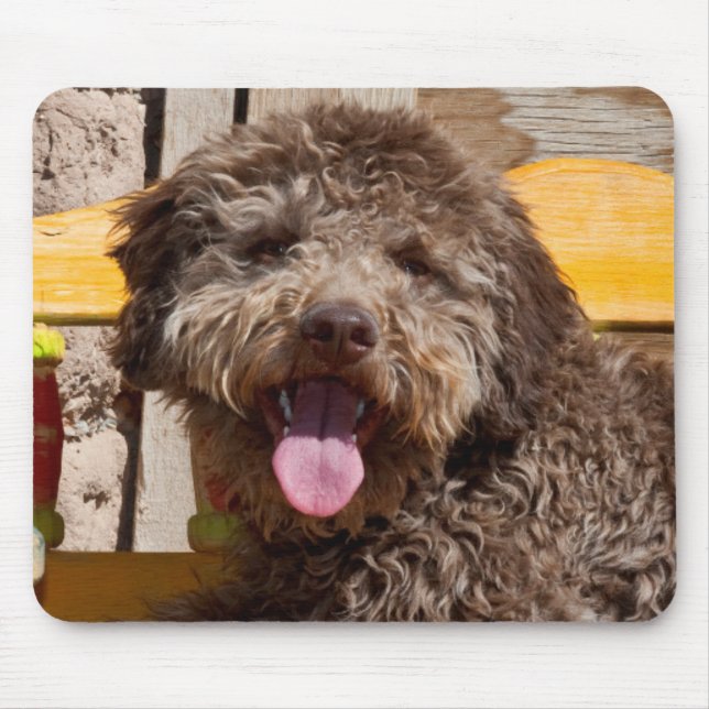 Tapis De Souris Lagotto Romagnolo Allongé Sur Un Banc En Bois (Devant)