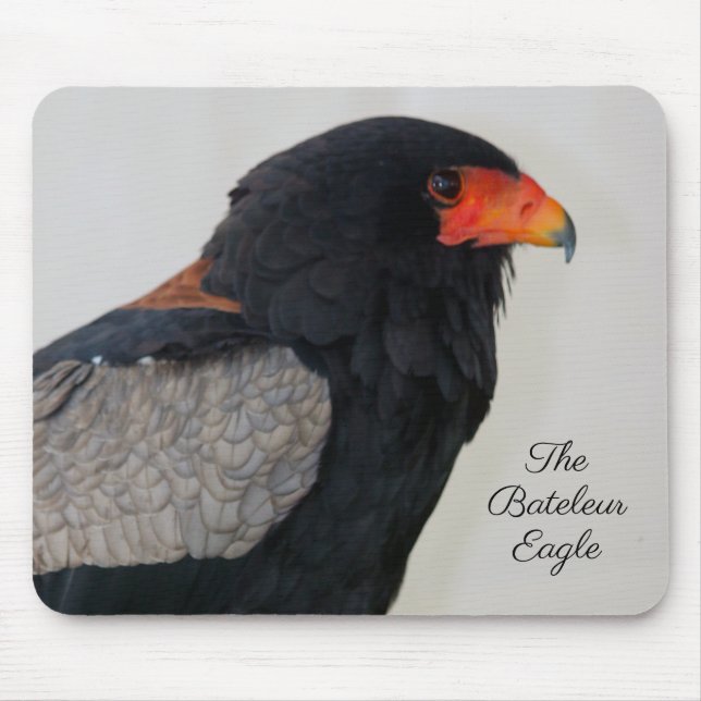 Tapis De Souris L'aigle Bateleur (Devant)