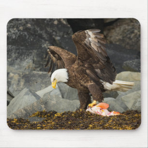 Tapis De Souris L'aigle chauve ultime