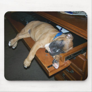 Tapis De Souris Laila dormant sur le mousepad de bureau