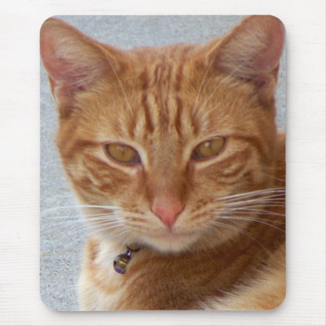 Tapis De Souris L'Amant du chat_ (Devant)