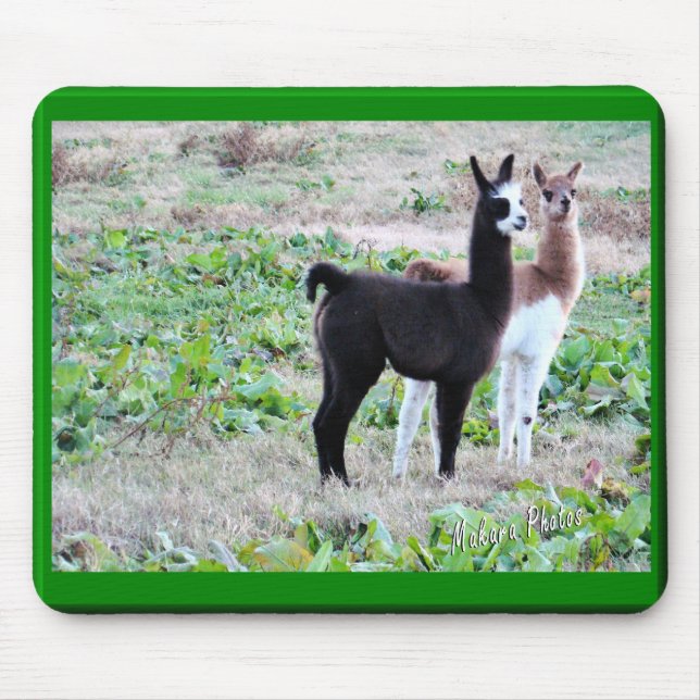 Tapis De Souris Lamas Mousepad de bébé (Devant)