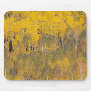 Tapis De Souris Lambert Hollow, trembles