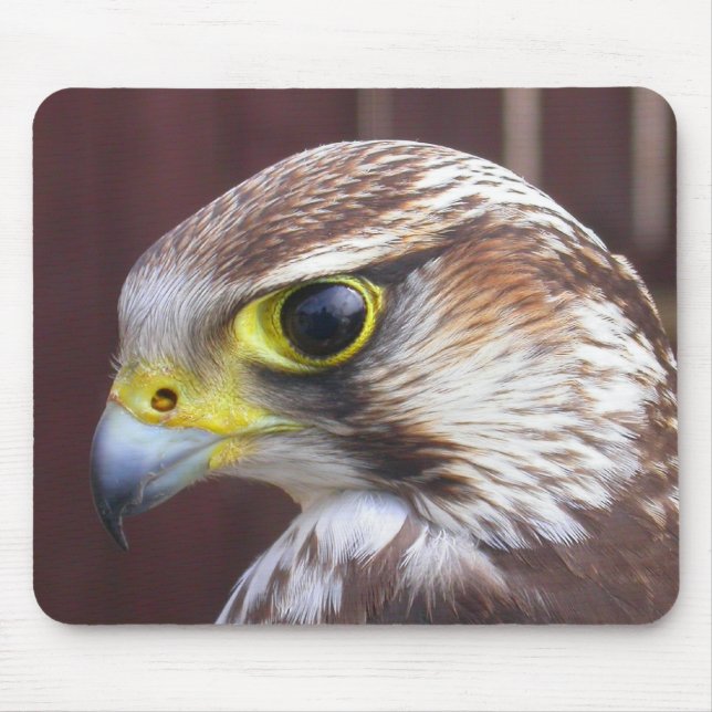 Tapis De Souris Lanner Falcon (Devant)