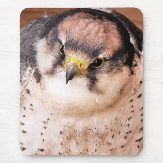 TAPIS DE SOURIS LANNER FALCON (Devant)