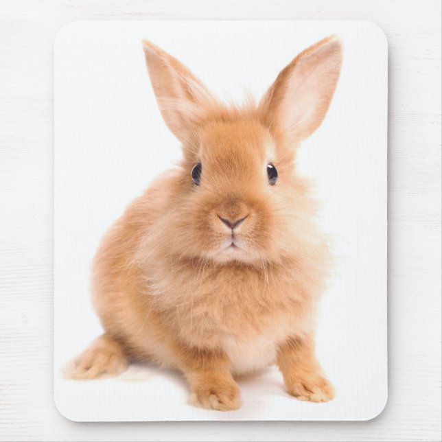 Tapis De Souris Lapin (Devant)