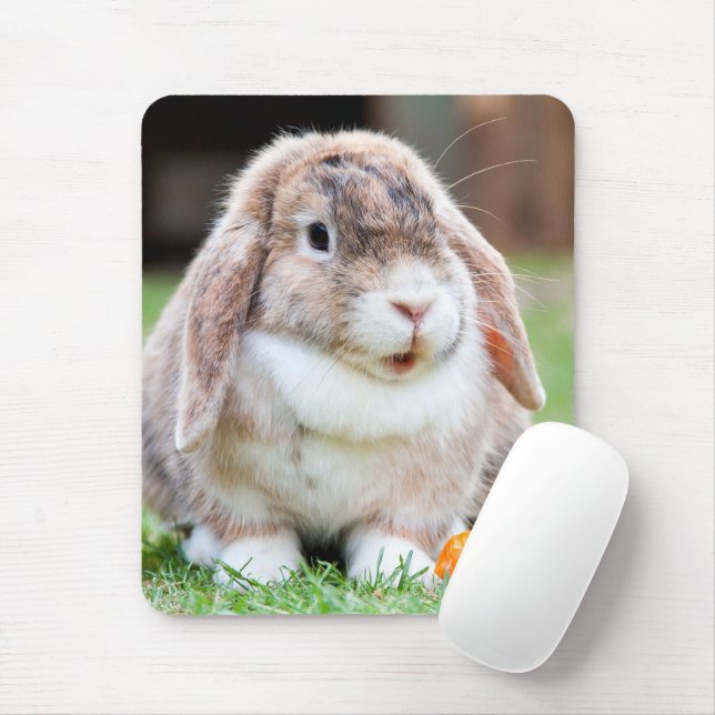 Tapis De Souris lapin à oreilles de lop mignon (Avec souris)