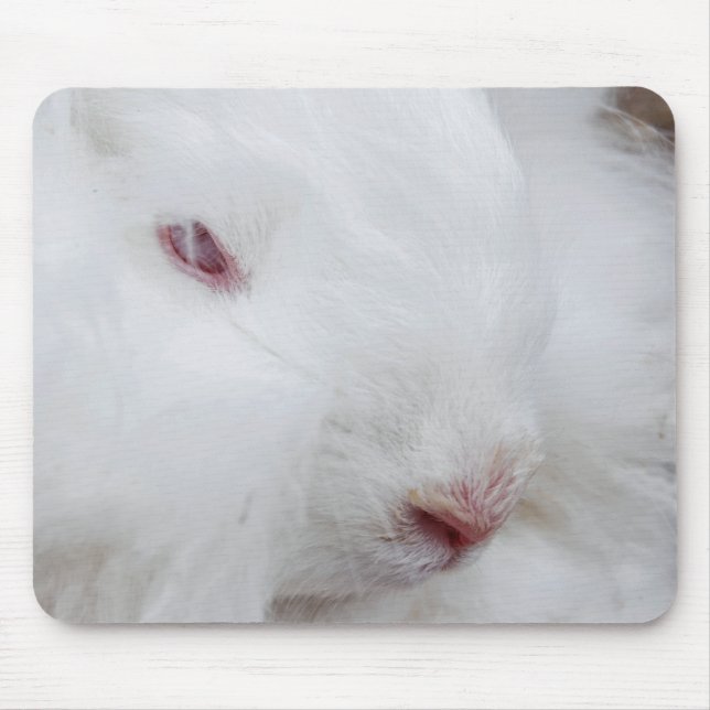 Tapis De Souris Lapin Angora blanc (Devant)