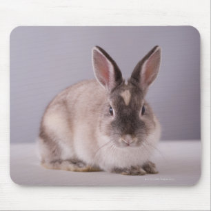 Tapis De Souris lapin, arrière - plan simple, animal, table