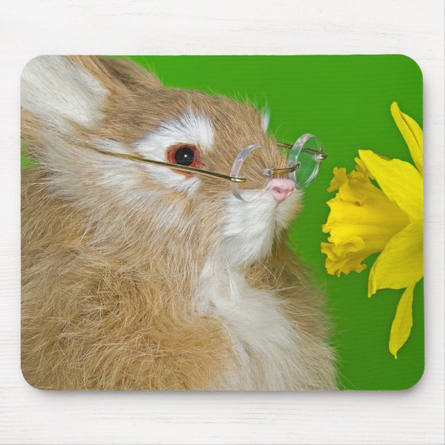 Tapis De Souris Lapin Avec Daffodique (Devant)