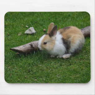 Tapis De Souris Lapin bébé doux