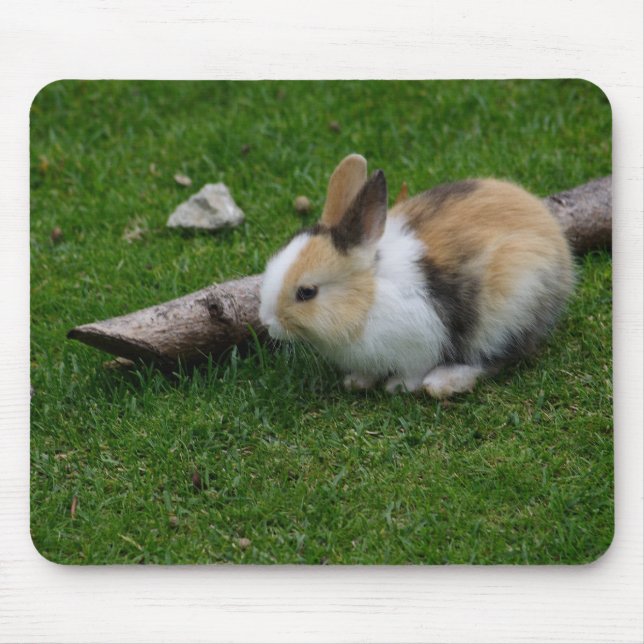 Tapis De Souris Lapin bébé doux (Devant)