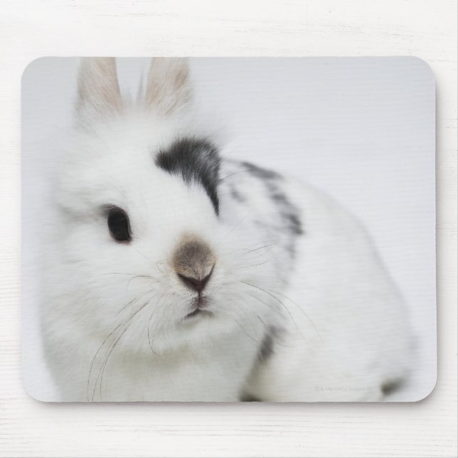 Tapis De Souris Lapin blanc, noir et brun (Devant)