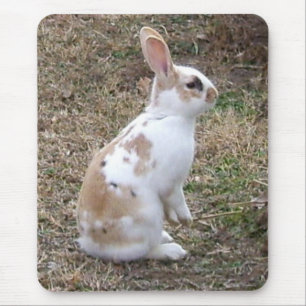 Tapis De Souris Lapin Bouffé...