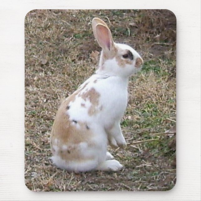Tapis De Souris Lapin Bouffé... (Devant)