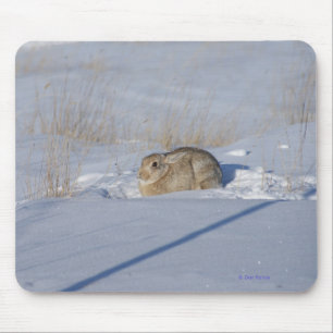 Tapis De Souris Lapin Cottontail R5 dans la neige
