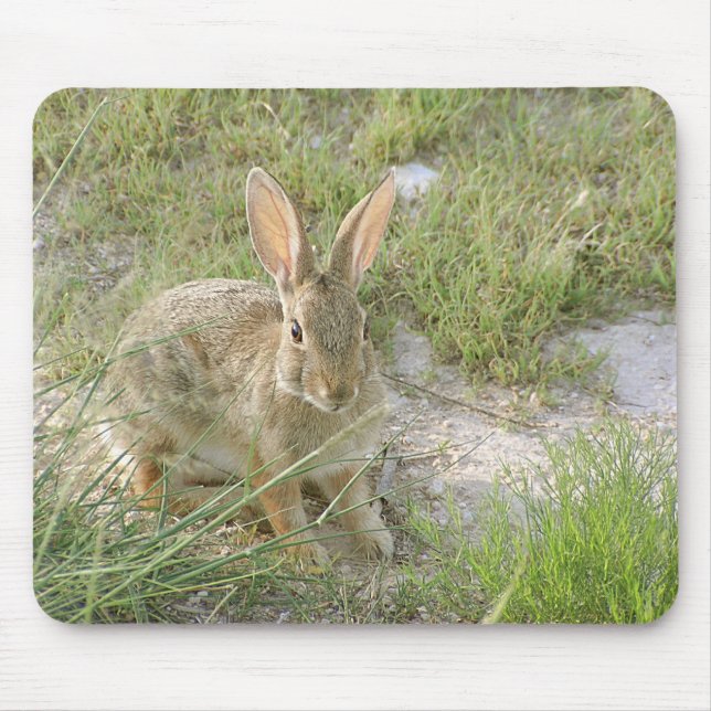 Tapis De Souris Lapin de début de soirée (Devant)