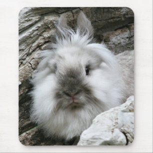 Tapis De Souris Lapin de Lionhead