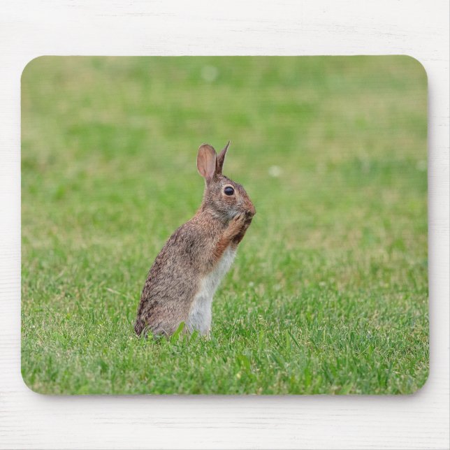 Tapis De Souris Lapin debout dans l'herbe et l'air timide (Devant)