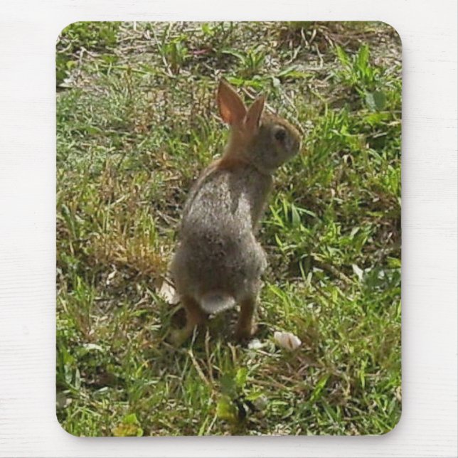 Tapis De Souris Lapin Lapin (Devant)