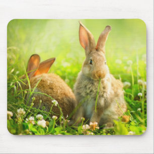 Tapis De Souris Lapins de Pâques
