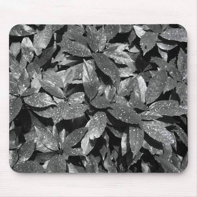 Tapis De Souris Laurel tacheté, Aucuba Japonica - B/W (Devant)