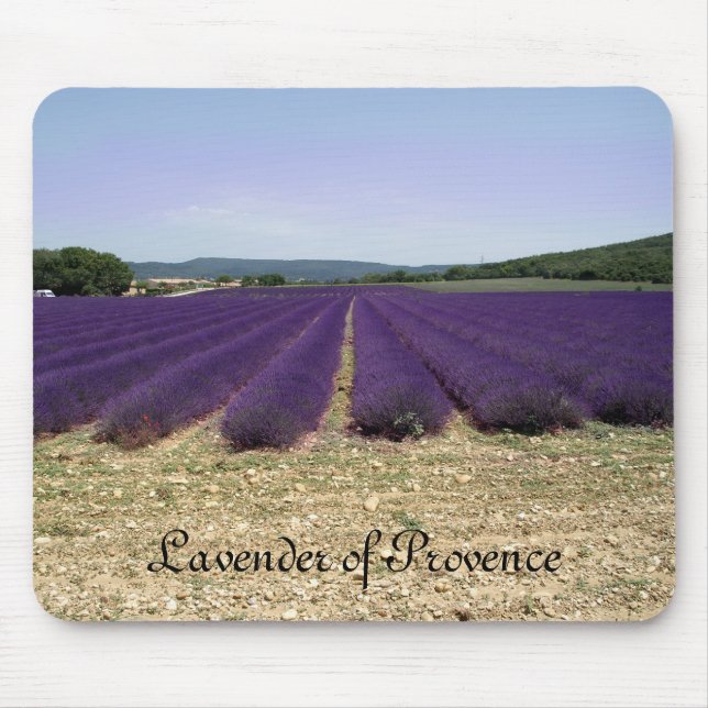 Tapis De Souris Lavande de la Provence (Devant)