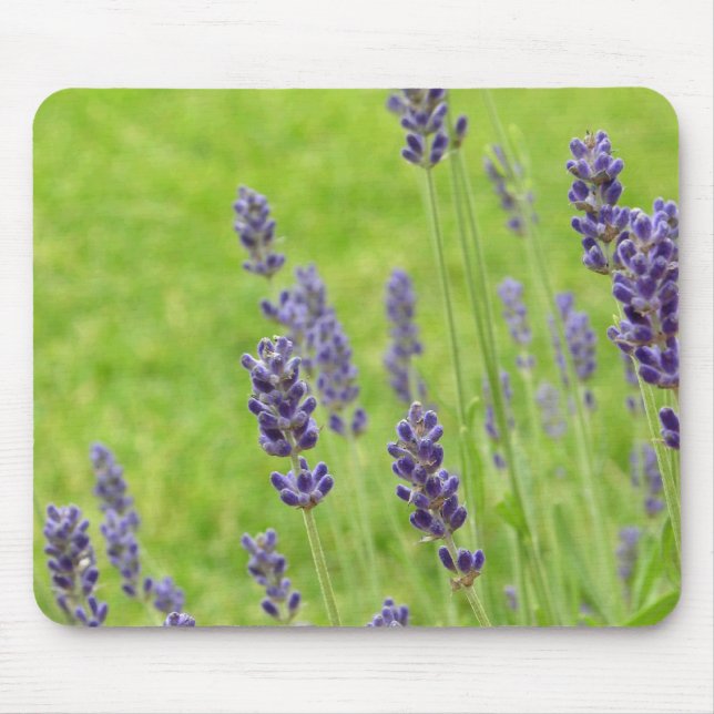 Tapis De Souris Lavendar Mousepad (Devant)
