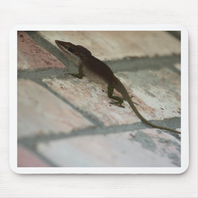 Tapis De Souris Lazy Lizard (Devant)