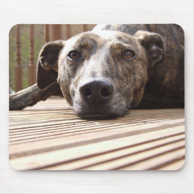 Tapis De Souris Lazy Lurcher (Devant)