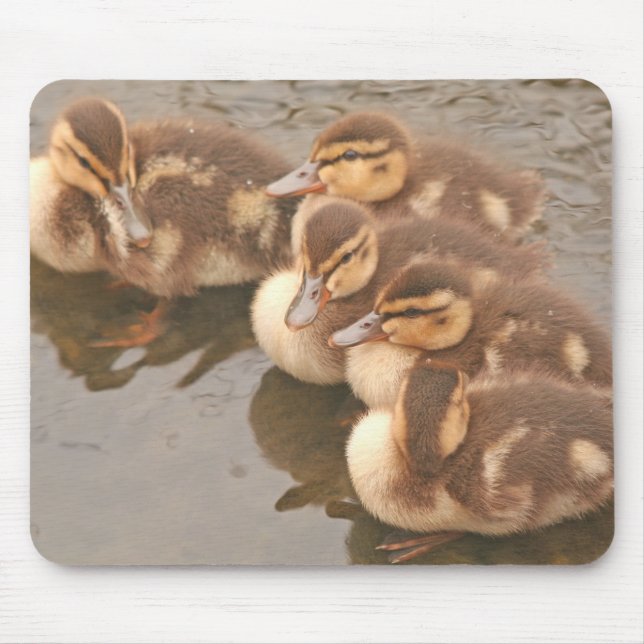 Tapis De Souris Le bébé penche la faune Mousepad d'oiseaux (Devant)