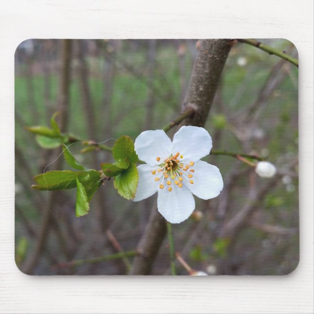 Tapis De Souris Le blanc du printemps (Devant)