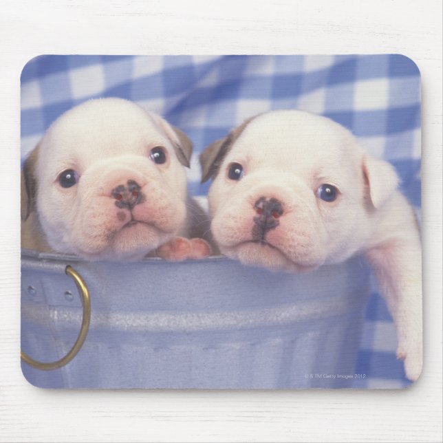 Tapis De Souris Le Bulldog, souvent appelé le Bulldog anglais, (Devant)