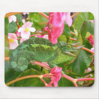Tapis De Souris Le caméléon Mousepad de Jackson