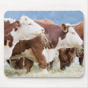 Tapis De Souris Le Canada, Colombie-Britannique, Pemberton