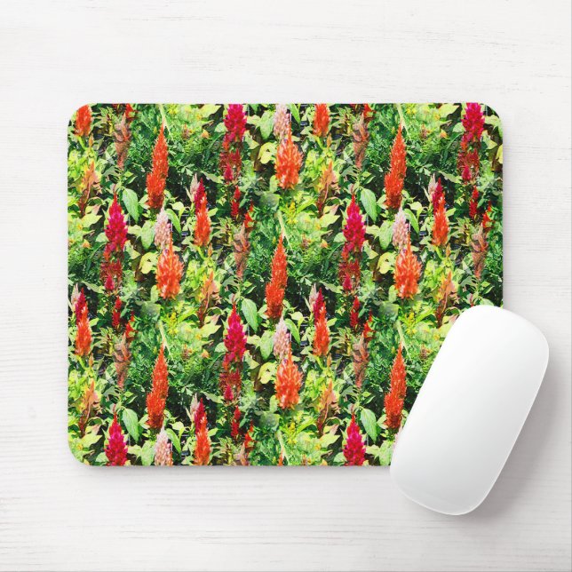 Tapis De Souris Le Champ de fleurs..... (Avec souris)