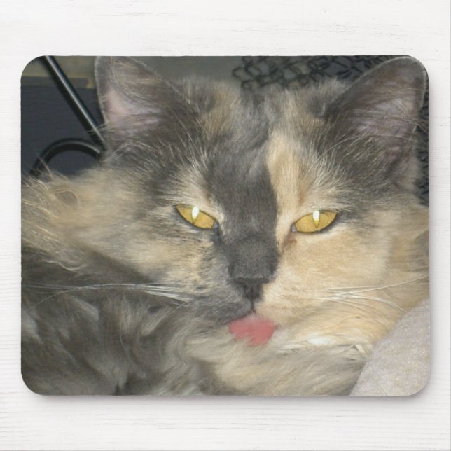 Tapis De Souris Le chat a obtenu votre langue (Devant)