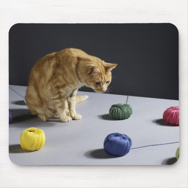 Tapis De Souris Le chat de table de gingembre assis sur la table (Devant)