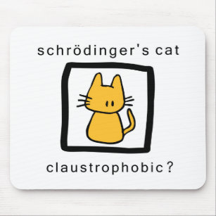 Schrodinger chat