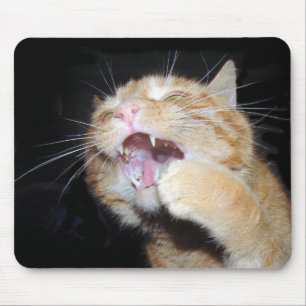 Tapis De Souris Le chat veut la souris