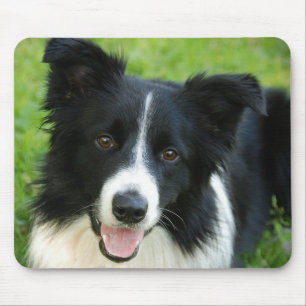 Tapis De Souris Le chien de border collie ajoutent l'animal
