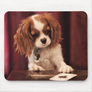 Tapis De Souris Le chiot joue aux cartes