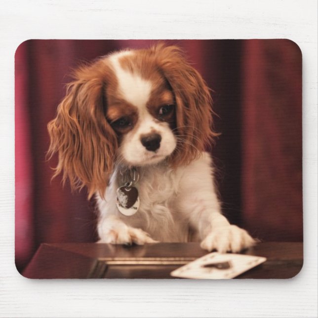 Tapis De Souris Le chiot joue aux cartes (Devant)