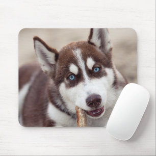 Tapis De Souris Le chiot sibérien Husky à la plage